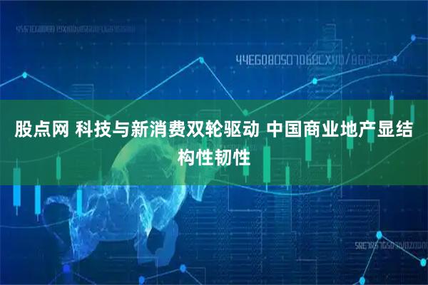 股点网 科技与新消费双轮驱动 中国商业地产显结构性韧性